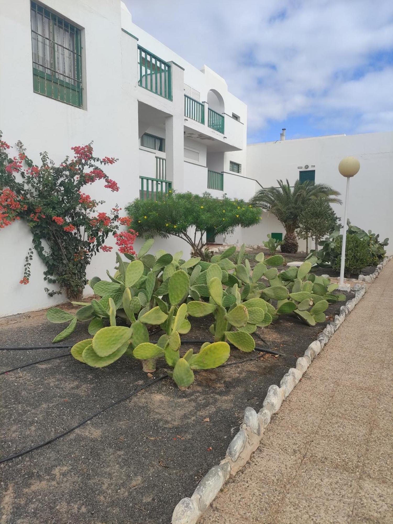 Ferienwohnung Casita Perla Blanca Costa De Antigua Exterior foto