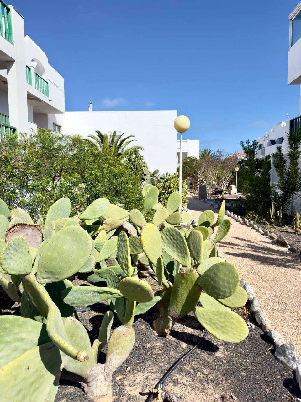 Ferienwohnung Casita Perla Blanca Costa De Antigua Exterior foto
